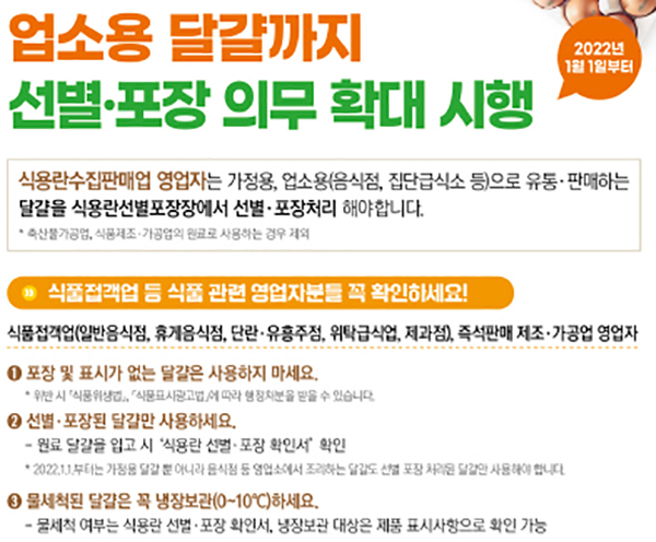 여름철 달걀 위생관리 집중 점검…유통·판매업체 1079곳